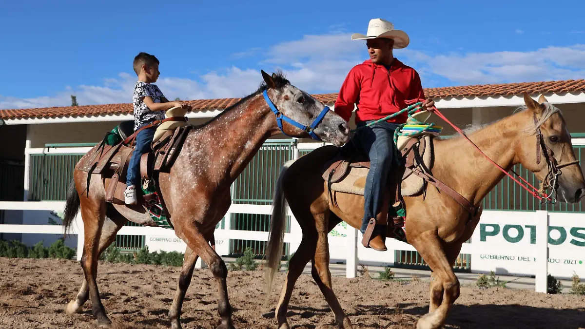 Equinoterapia (3)